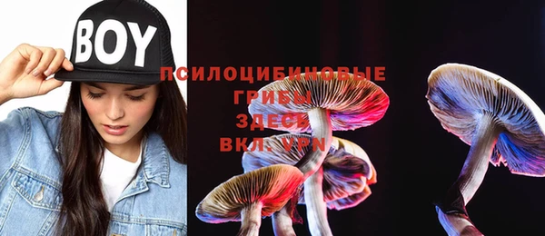2c-b Коряжма