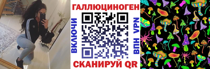 Купить закладки  Ржев  Галлюциногенные грибы Magic Shrooms 